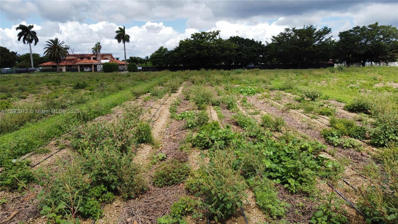 待售: $1,500 (0 贝兹, 0 浴室, 0 平方英尺)