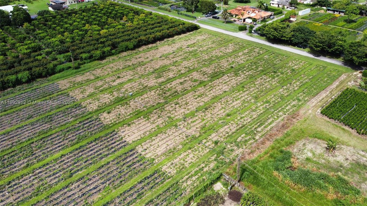 待售: $1,500 (0 贝兹, 0 浴室, 0 平方英尺)