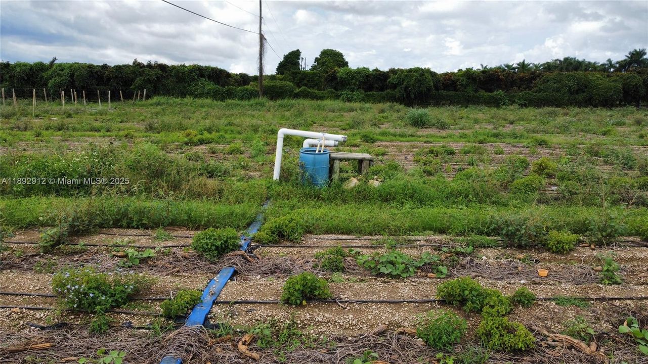 待售: $1,500 (0 贝兹, 0 浴室, 0 平方英尺)