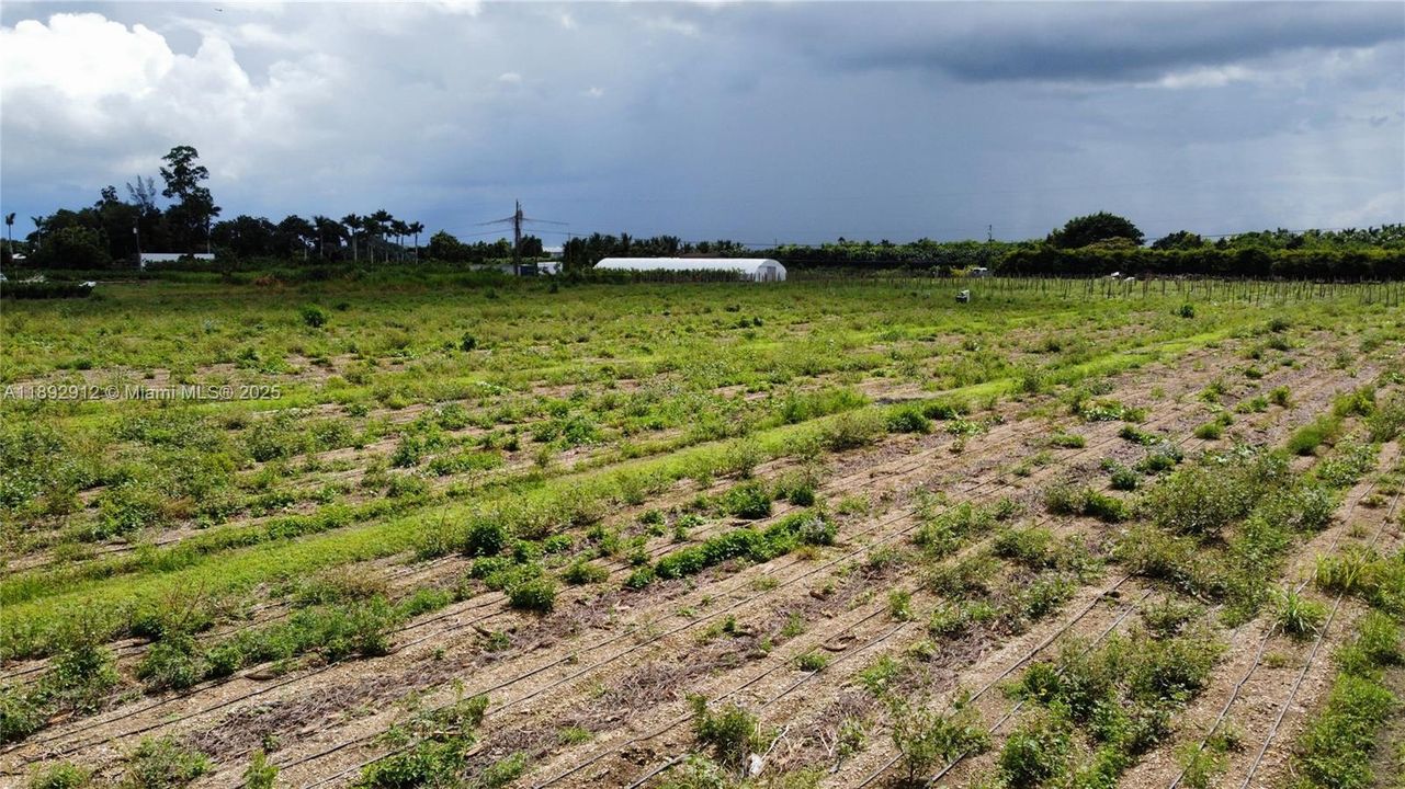 待售: $1,500 (0 贝兹, 0 浴室, 0 平方英尺)