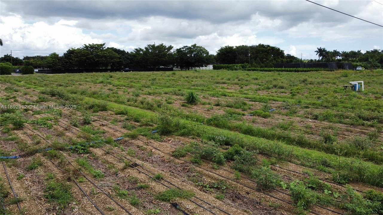 待售: $1,500 (0 贝兹, 0 浴室, 0 平方英尺)