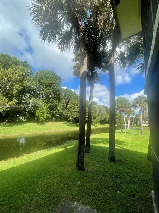 合同活跃: $2,400 (2 贝兹, 2 浴室, 1231 平方英尺)