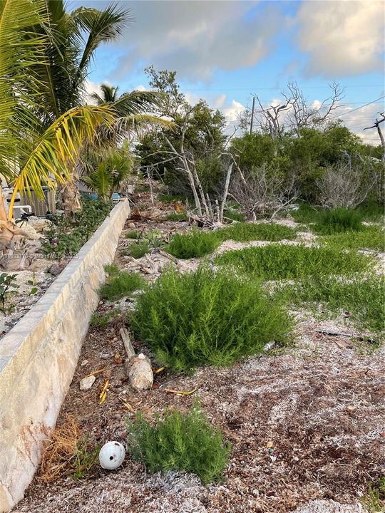 待售: $279,000 (0.34 acres)