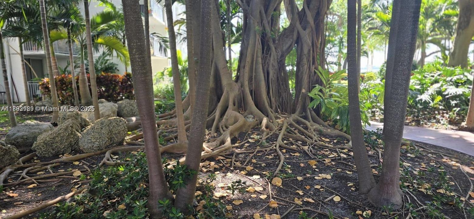 待售: $340,000 (1 贝兹, 1 浴室, 775 平方英尺)