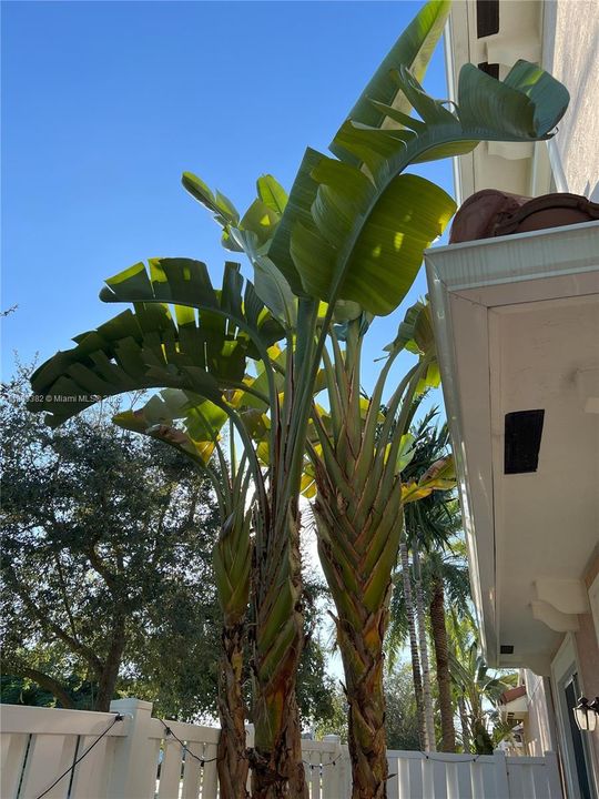 待售: $609,900 (3 贝兹, 2 浴室, 1500 平方英尺)