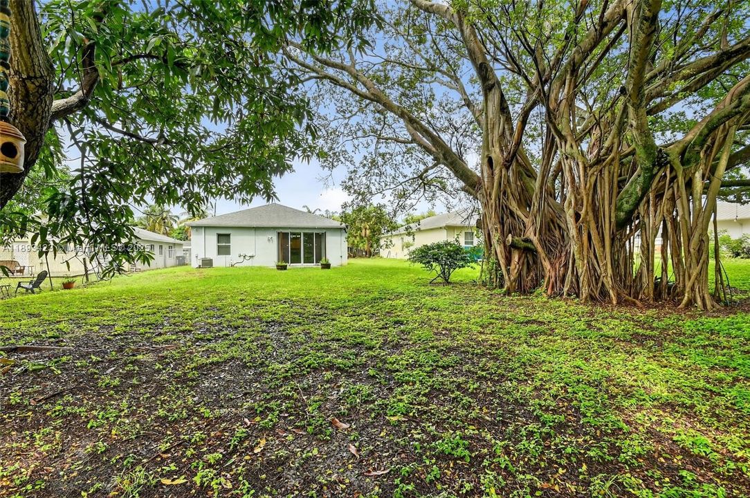 Недавно арендовано: $3,200 (3 спален, 2 ванн, 1695 Квадратных фут)