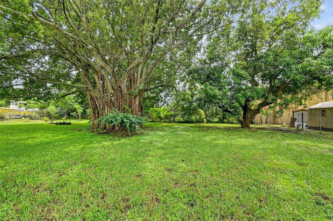 Недавно арендовано: $3,200 (3 спален, 2 ванн, 1695 Квадратных фут)