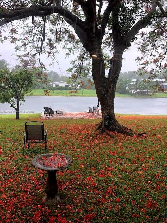 待售: $2,300,000 (3 贝兹, 2 浴室, 1522 平方英尺)