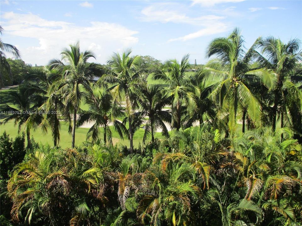 待售: $152,000 (1 贝兹, 1 浴室, 785 平方英尺)