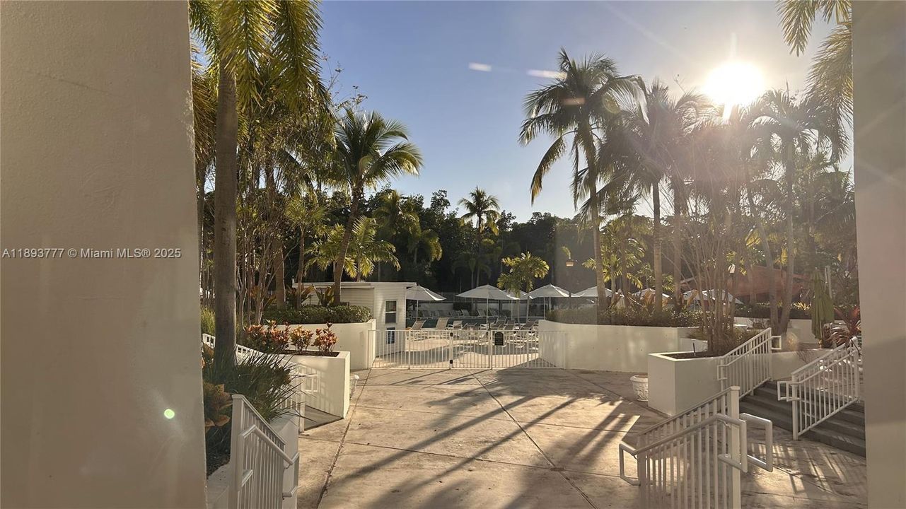 合同活跃: $1,950 (1 贝兹, 1 浴室, 991 平方英尺)