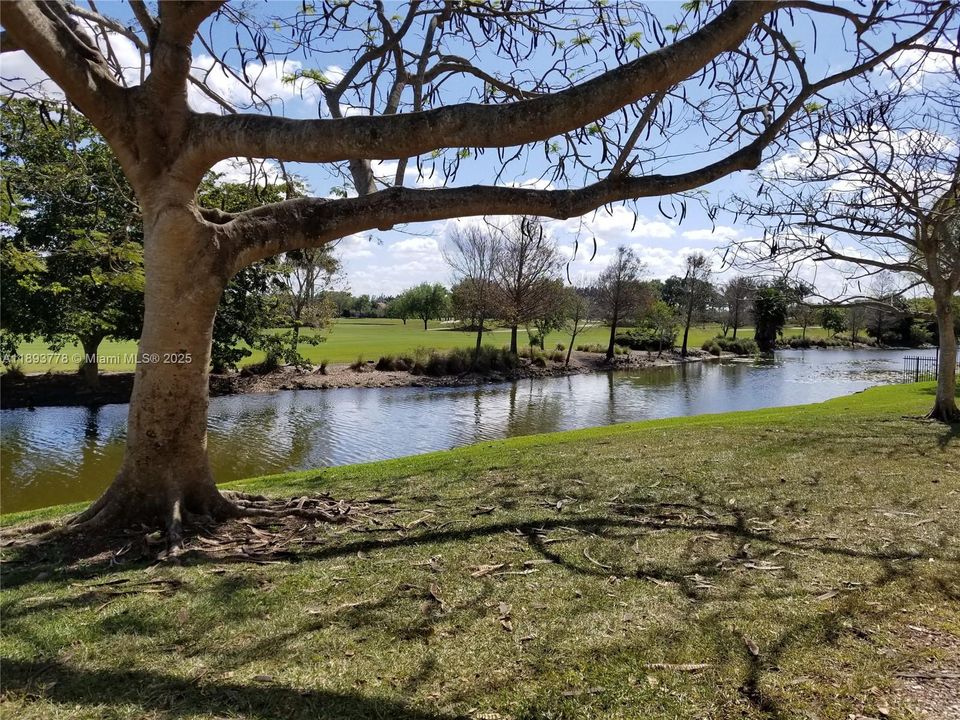 待售: $205,000 (1 贝兹, 1 浴室, 743 平方英尺)