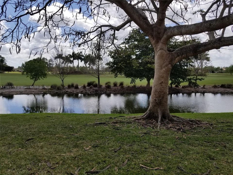 待售: $205,000 (1 贝兹, 1 浴室, 743 平方英尺)