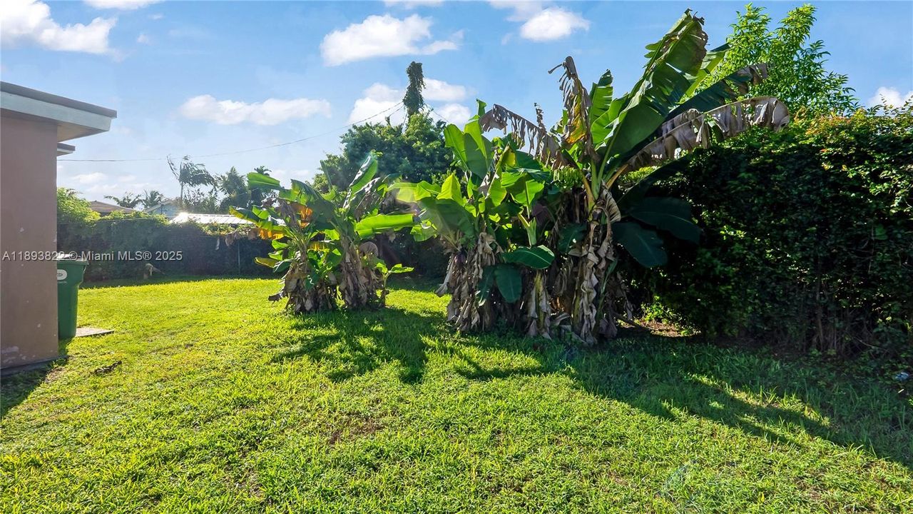 Под контрактом: $450,000 (3 спален, 1 ванн, 1156 Квадратных фут)