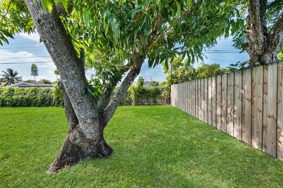 Недавно продано: $330,000 (3 спален, 1 ванн, 1008 Квадратных фут)