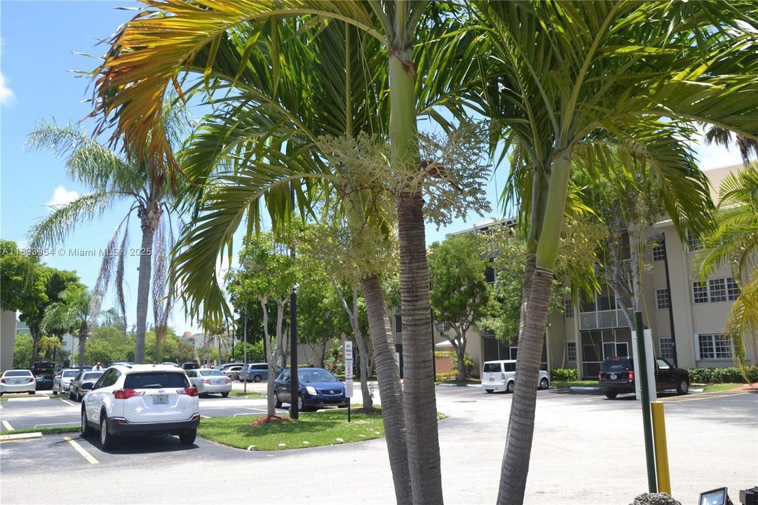 出租: $1,475 (1 贝兹, 1 浴室, 543 平方英尺)