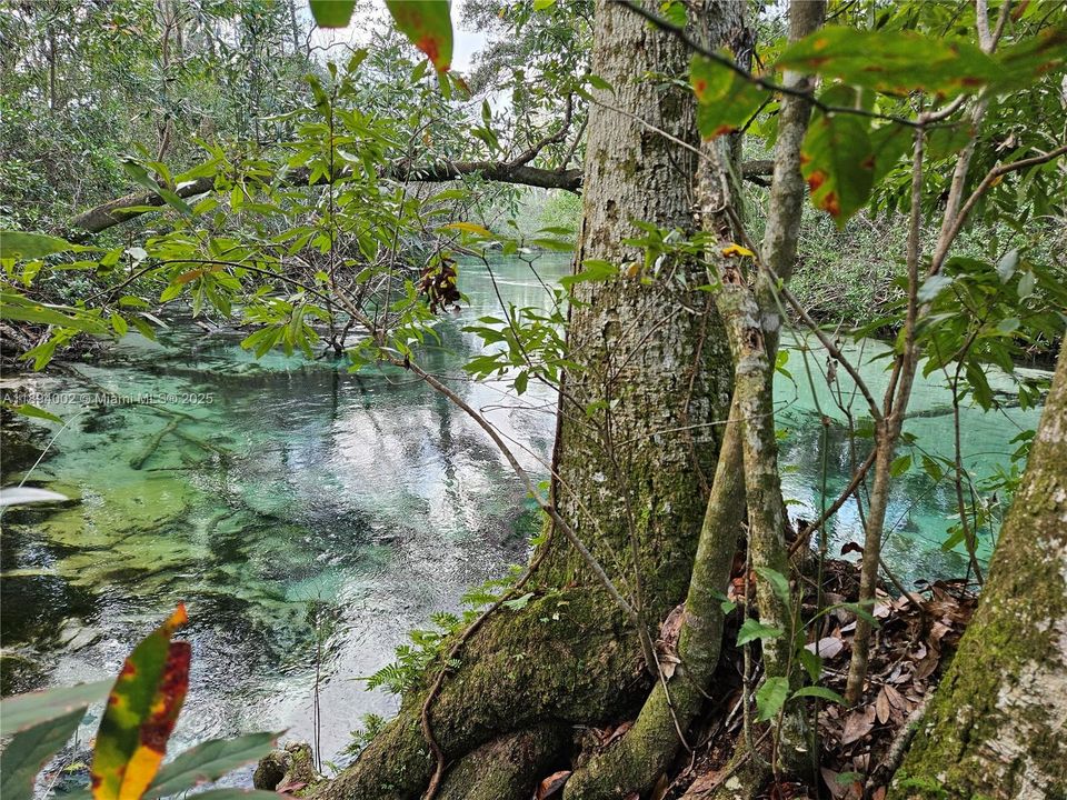 En Venta: $799,900 (5 camas, 3 baños, 3263 Pies cuadrados)