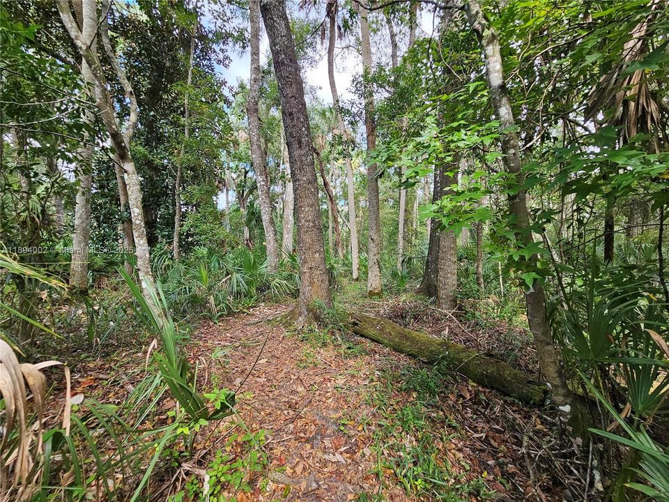 En Venta: $799,900 (5 camas, 3 baños, 3263 Pies cuadrados)