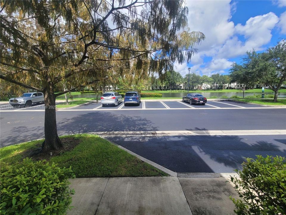 Недавно арендовано: $2,900 (3 спален, 2 ванн, 1768 Квадратных фут)