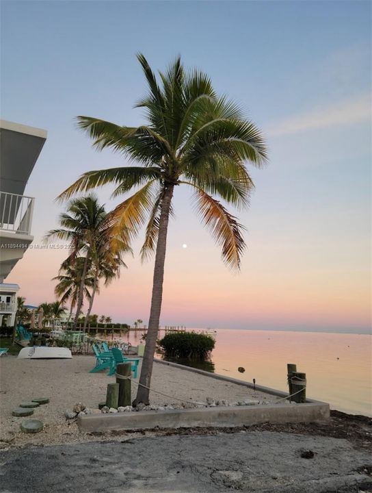 最近租的: $2,000 (2 贝兹, 2 浴室, 864 平方英尺)