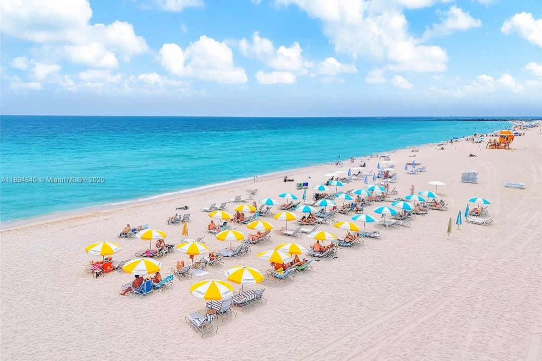 Active With Contract: $3,800 (1 beds, 1 baths, 654 Square Feet)