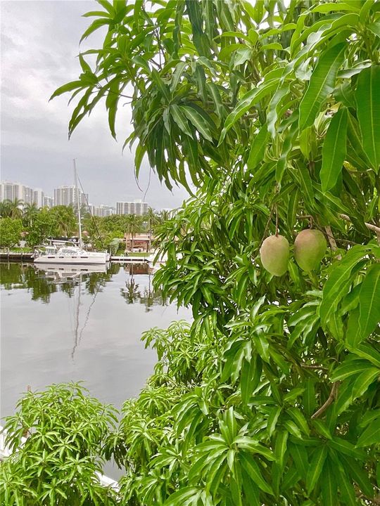 Active With Contract: $155,000 (1 beds, 1 baths, 650 Square Feet)