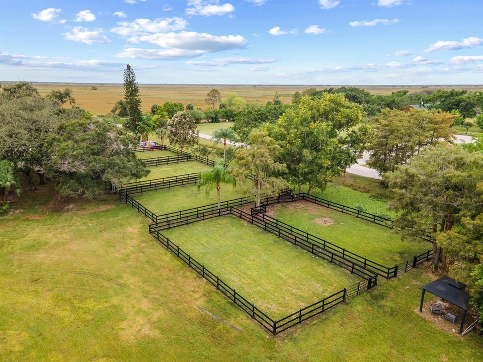West Paddocks