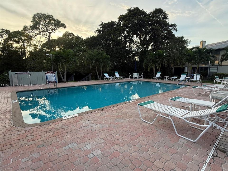 出租: $2,000 (2 贝兹, 2 浴室, 1117 平方英尺)