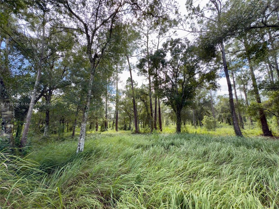 En Venta: $250,000 (4.52 acres)