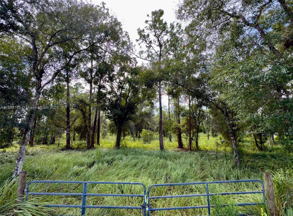 En Venta: $250,000 (4.52 acres)