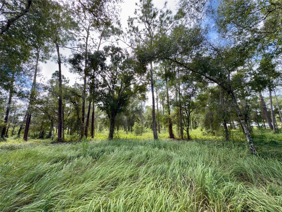 En Venta: $250,000 (4.52 acres)