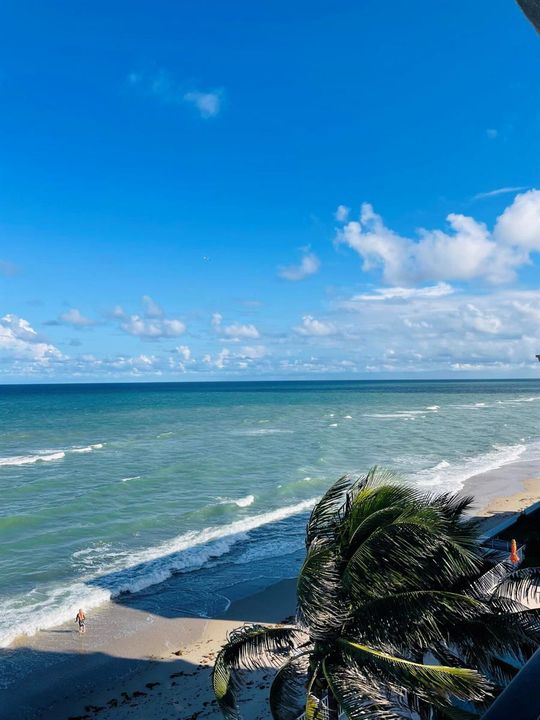 Oceanfront Views