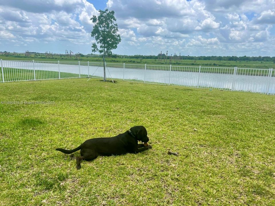 For Rent: $2,600 (4 beds, 2 baths, 1814 Square Feet)