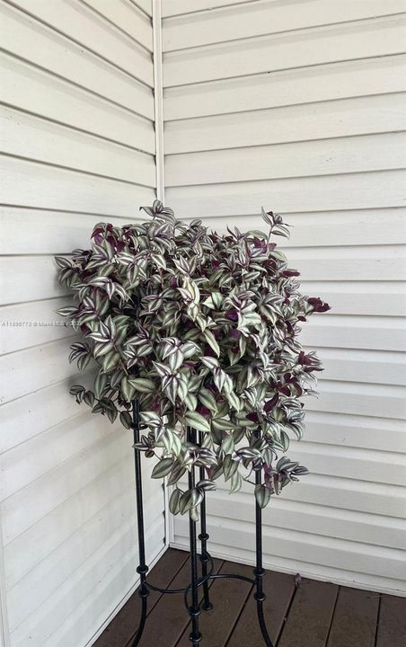 На продажу: $530,000 (3 спален, 2 ванн, 1876 Квадратных фут)