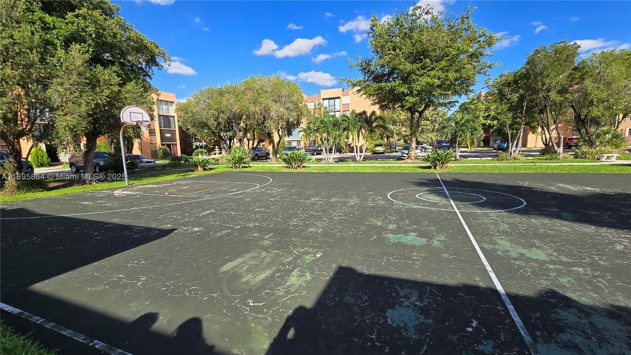 Basketball Court