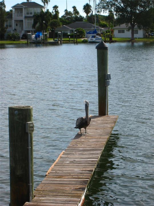 На продажу: $890,000 (2 спален, 2 ванн, 1190 Квадратных фут)