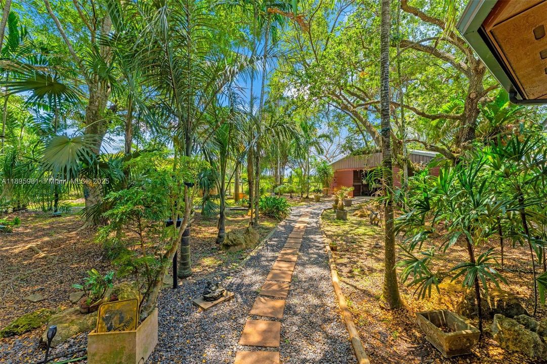 nice pathway to barn from covered breezeway