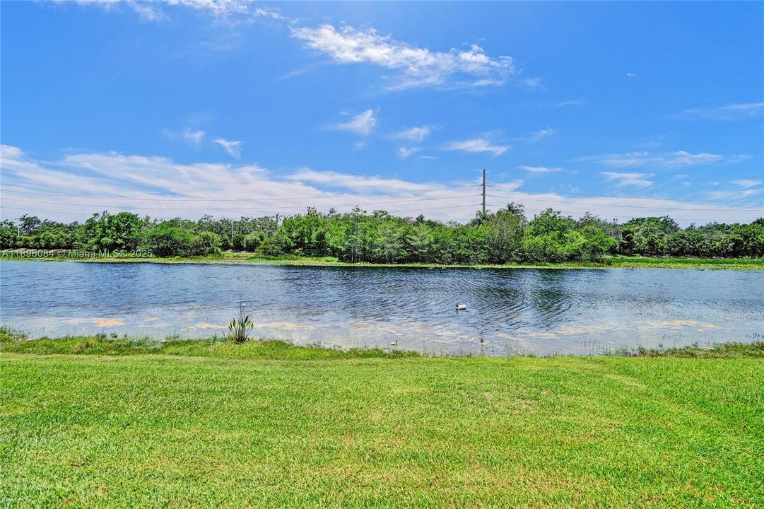 Под контрактом: $1,595,000 (6 спален, 4 ванн, 4302 Квадратных фут)