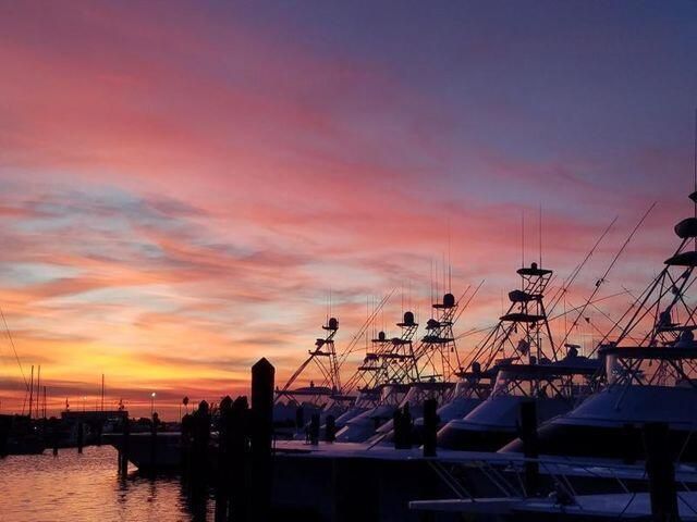 Pelican Yacht Club