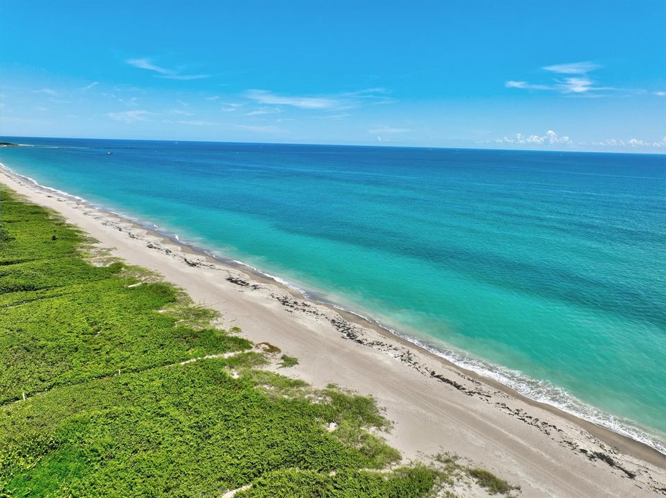 LOCAL PUBLIC BEACHES