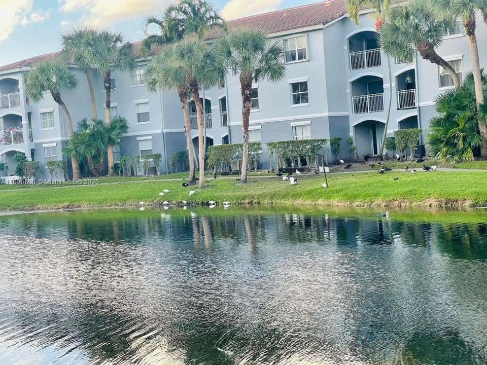 For Rent: $2,300 (2 beds, 2 baths, 1000 Square Feet)