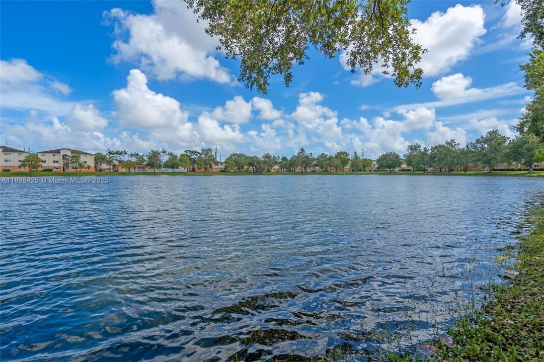 Active With Contract: $1,950 (1 beds, 1 baths, 659 Square Feet)