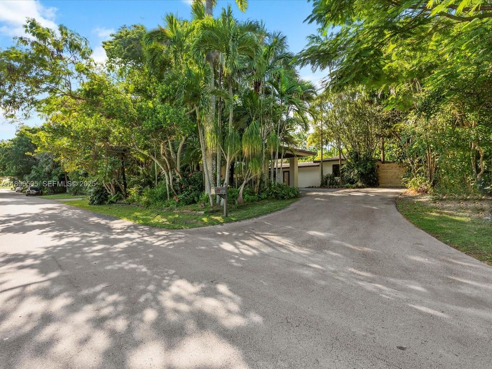 Circular driveway surrounded by mature trees, offering beauty, shade, and exceptional privacy.