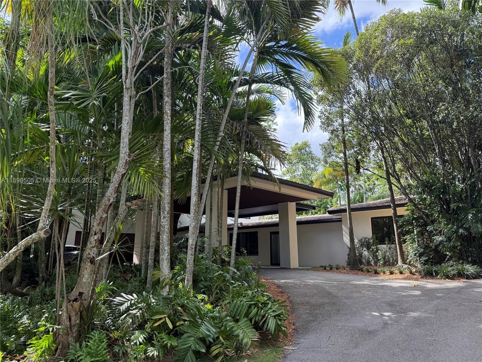 Circular driveway surrounded by mature trees, offering beauty, shade, and exceptional privacy.