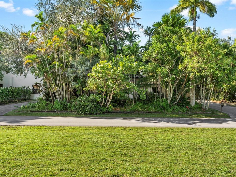 Circular driveway surrounded by mature trees, offering beauty, shade, and exceptional privacy.