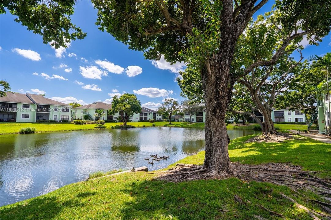 Active With Contract: $179,000 (1 beds, 1 baths, 595 Square Feet)