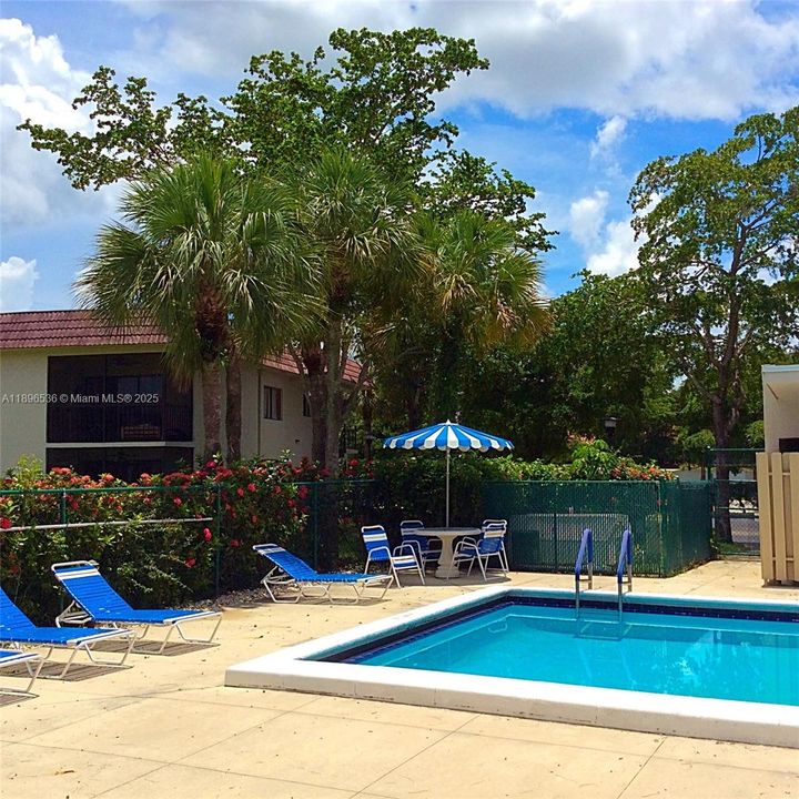 Saddle Club Community Pool