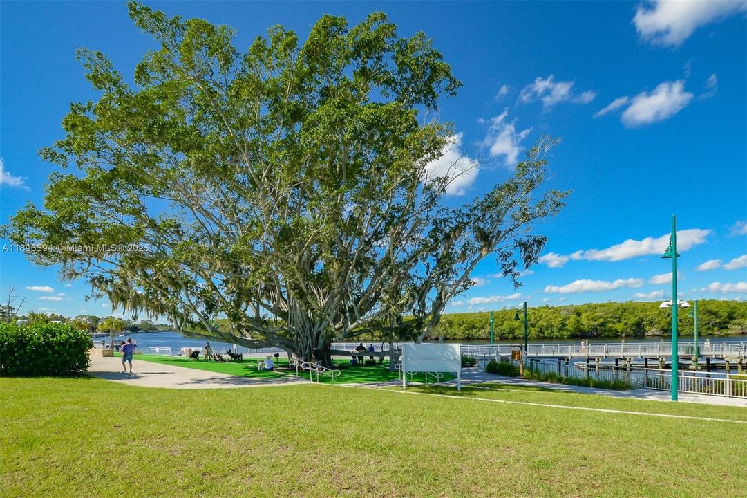 Lovely walkways to enjoy the beautiful St. Lucie River views.