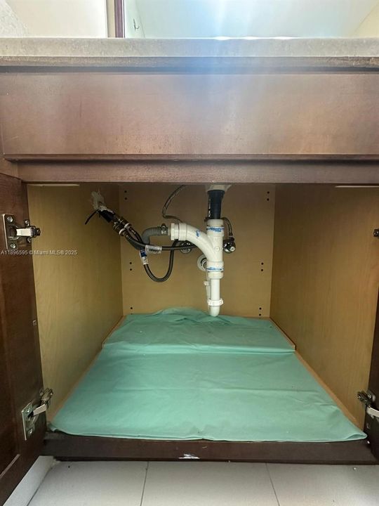 under the bathroom sink cabinet