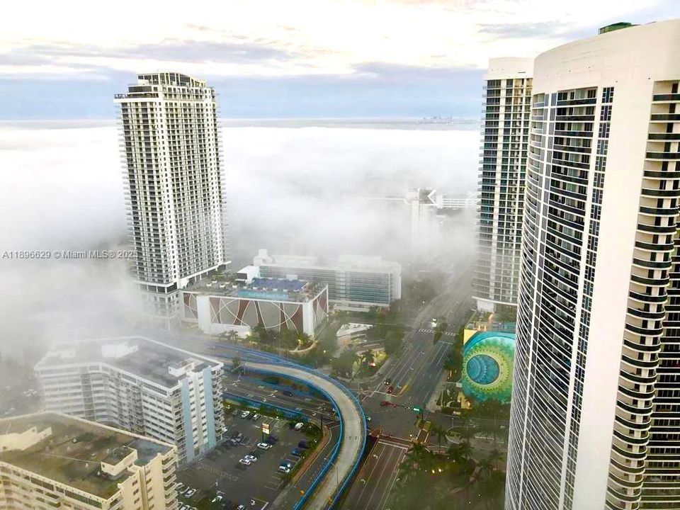 出租: $6,500 (3 贝兹, 3 浴室, 1571 平方英尺)