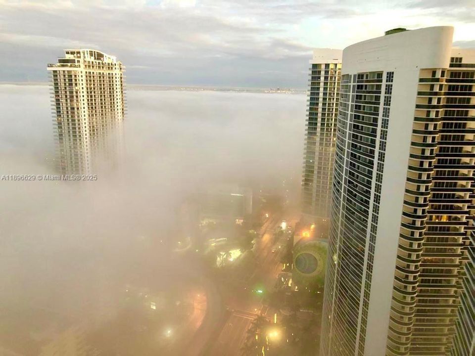 出租: $6,500 (3 贝兹, 3 浴室, 1571 平方英尺)